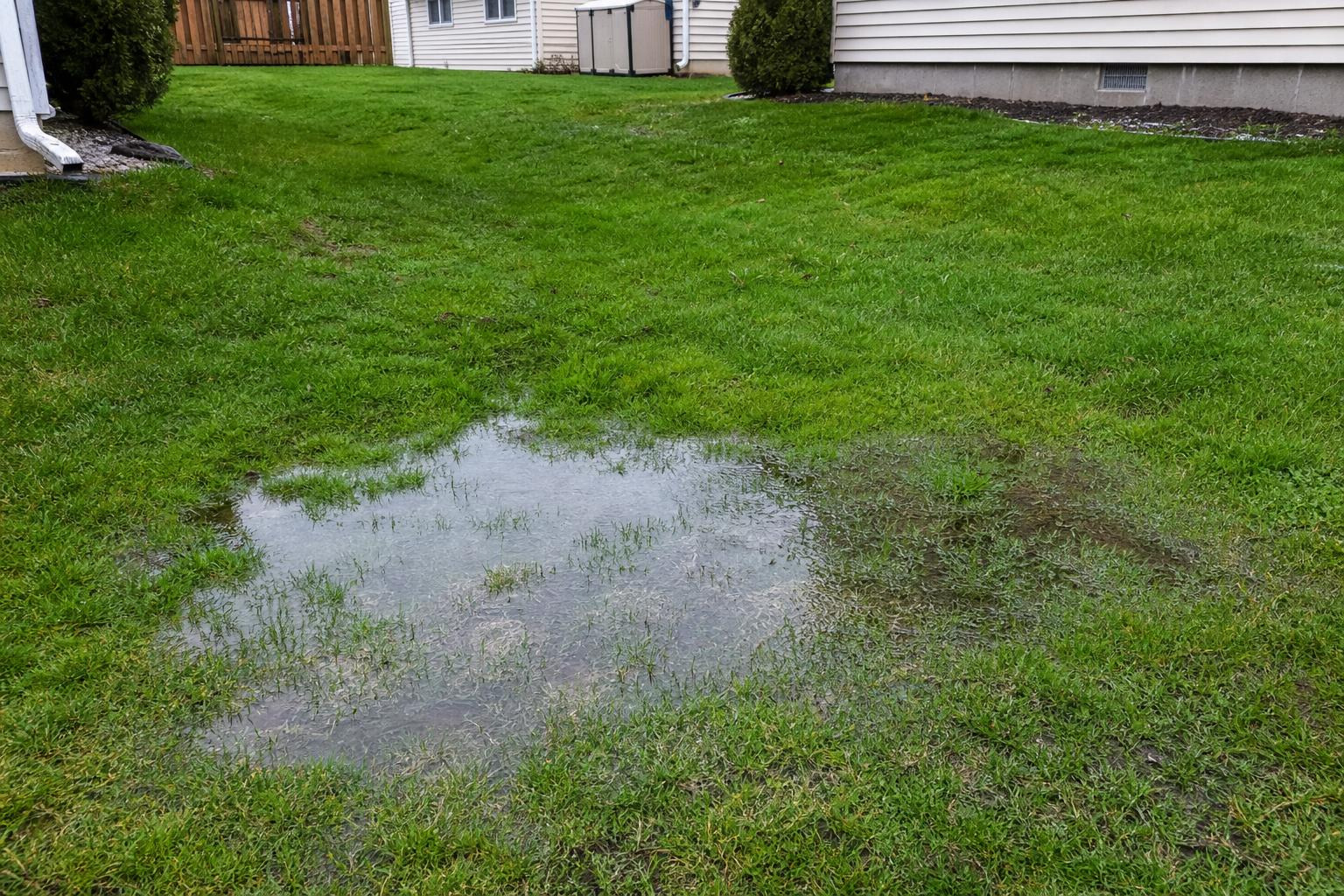soggy lawn patch above underground sewer line problem