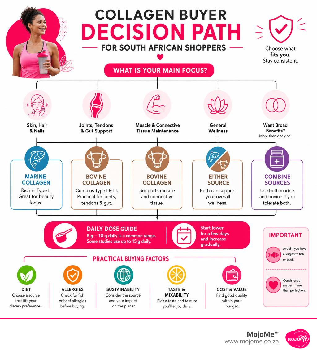 collagen buyer decision path for South African shoppers infographic collagen buyer decision path for South African shoppers infographic