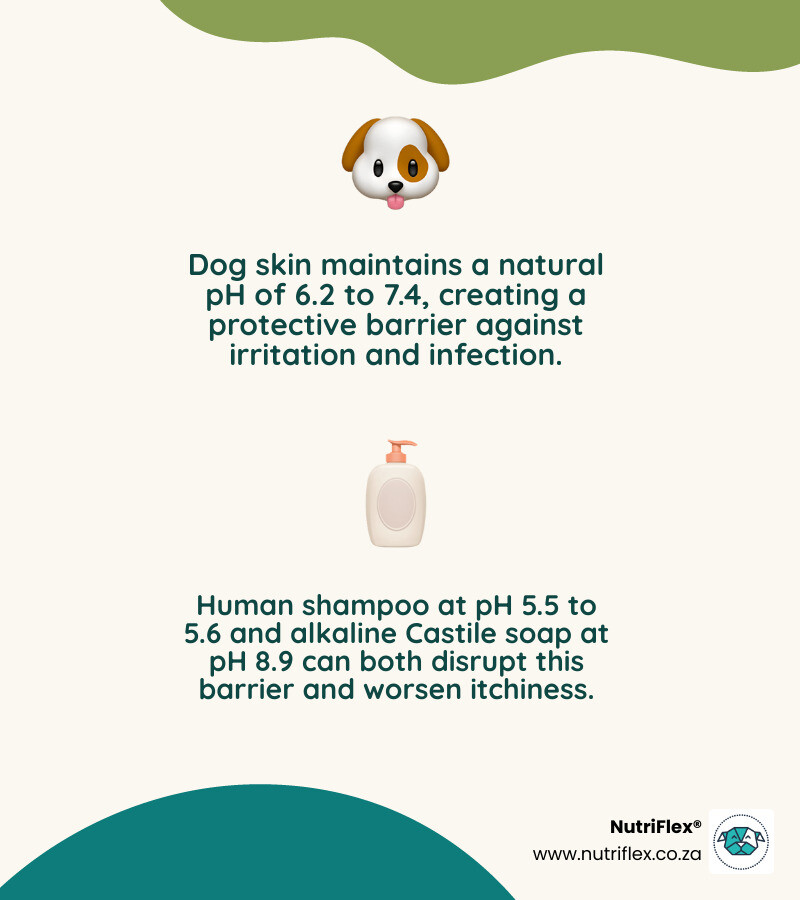 Dog Shampoo Ph Comparison For Human Shampoo Castile Soap And Canine Skin Infographic Dog Shampoo Ph Comparison For Human Shampoo Castile Soap And Canine Skin Infographic
