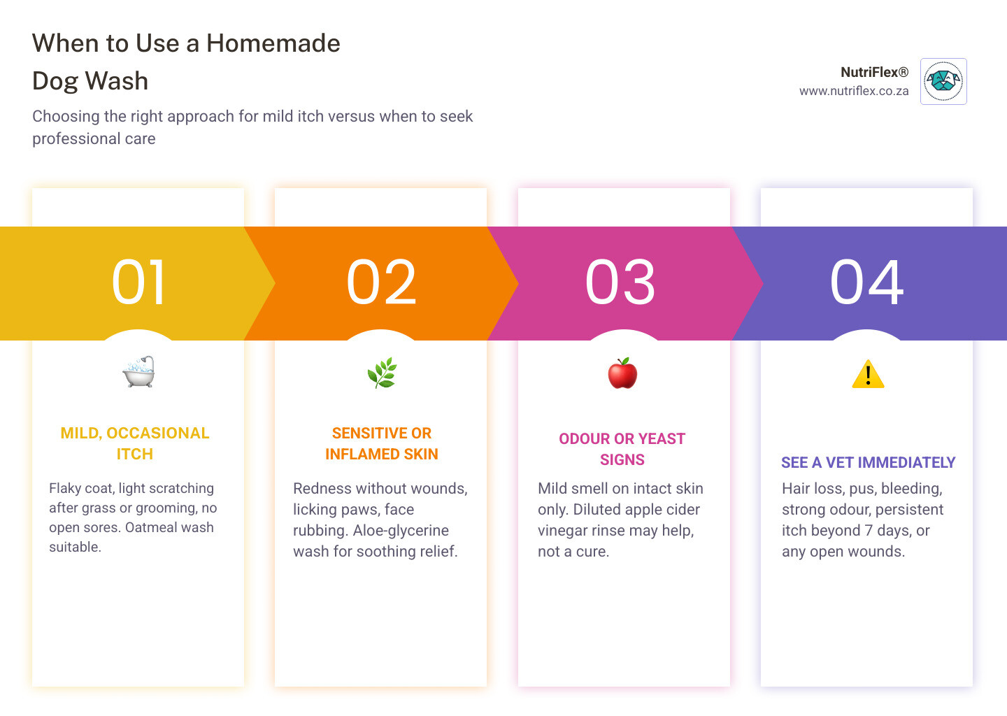Infographic Showing When Homemade Dog Wash Helps Mild Itch Vs When A Vet Is Needed For Serious Skin Conditions Infographic Infographic Showing When Homemade Dog Wash Helps Mild Itch Vs When A Vet Is Needed For Serious Skin Conditions Infographic