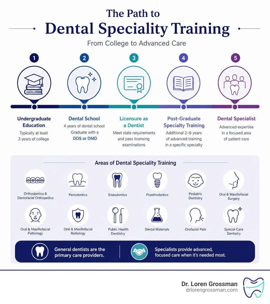 Infographic showing dental career path from college to dental specialty training infographic Infographic showing dental career path from college to dental specialty training infographic