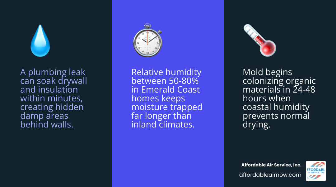Infographic showing the step-by-step timeline from plumbing leak to mold growth in a coastal home infographic Infographic showing the step-by-step timeline from plumbing leak to mold growth in a coastal home infographic