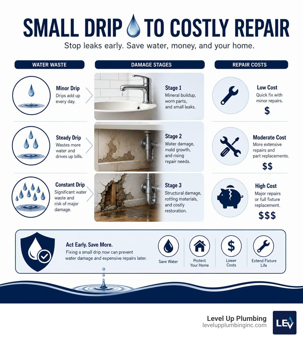 small drip to costly repair infographic showing water waste, damage stages, and repair costs infographic
