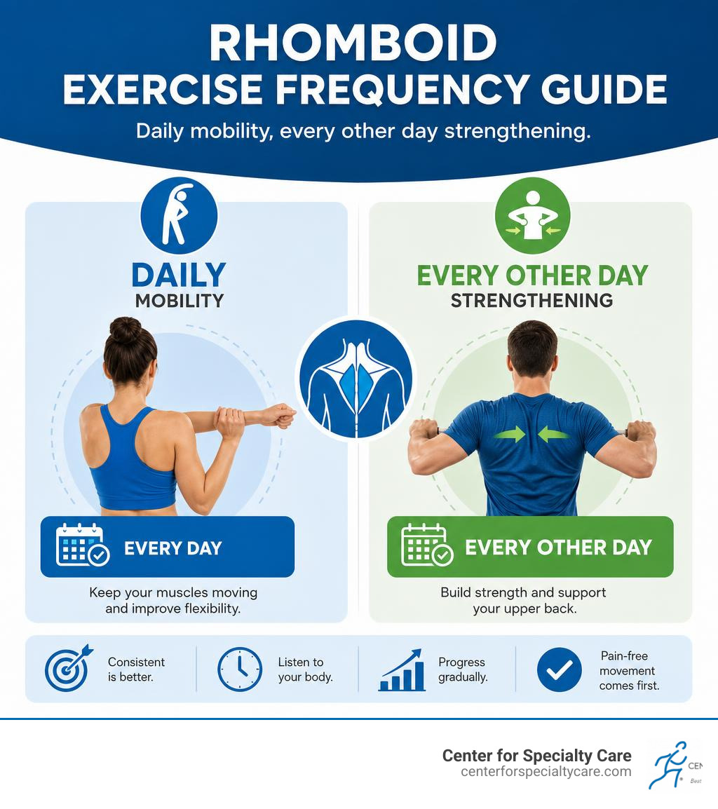 Rhomboid exercise frequency guide: daily mobility, every other day strengthening infographic
