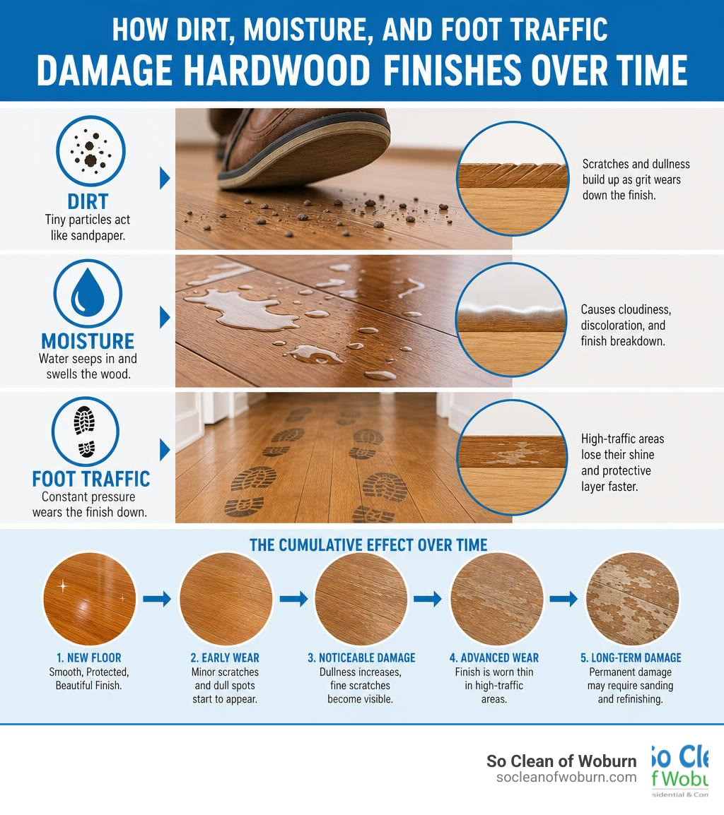 How dirt, moisture, and foot traffic damage hardwood finishes over time infographic