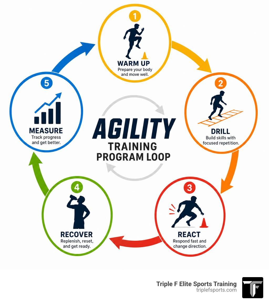 Agility training program loop: warm up, drill, react, recover, measure infographic infographic Agility training program loop: warm up, drill, react, recover, measure infographic infographic