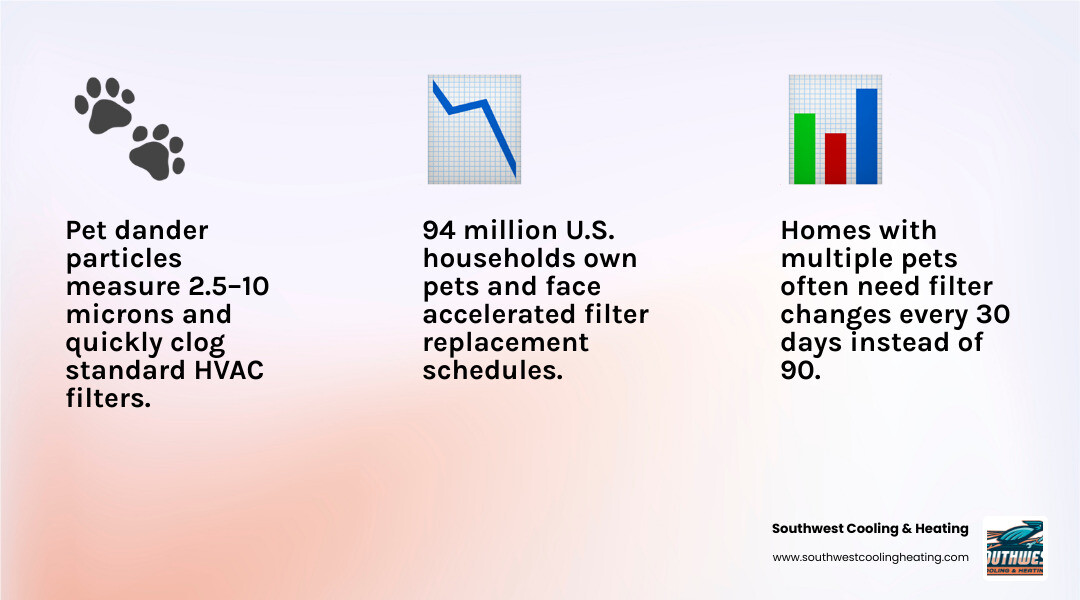 Infographic showing pet dander filter replacement frequency by household type and seasonal shedding peaks infographic Infographic showing pet dander filter replacement frequency by household type and seasonal shedding peaks infographic