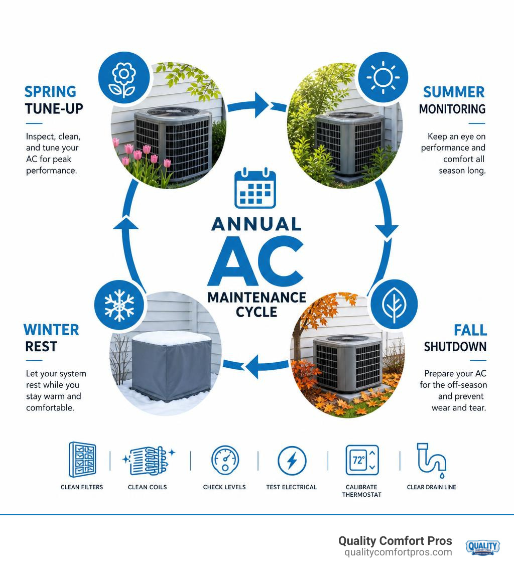 Annual AC maintenance cycle infographic showing spring tune-up, summer monitoring, fall shutdown, and winter rest infographic