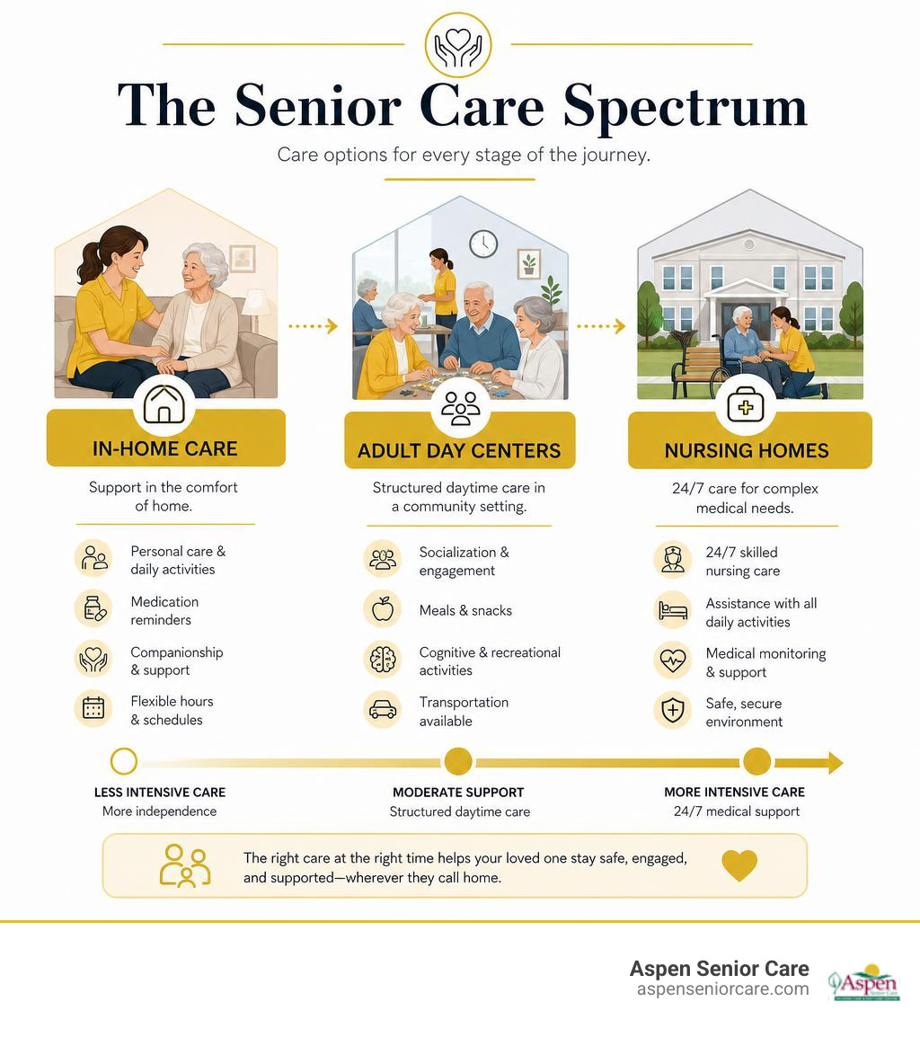 Infographic showing the ecosystem of senior care options from in-home care to adult day centers to nursing homes infographic