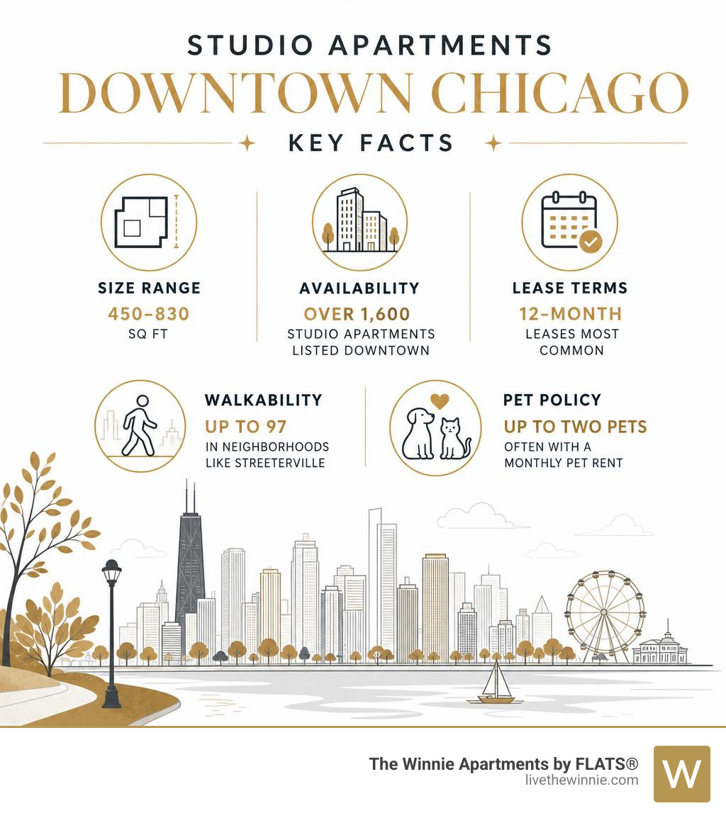 infographic showing studio apartment key facts: size range, availability, lease terms, walkability scores, and pet policy infographic showing studio apartment key facts: size range, availability, lease terms, walkability scores, and pet policy
