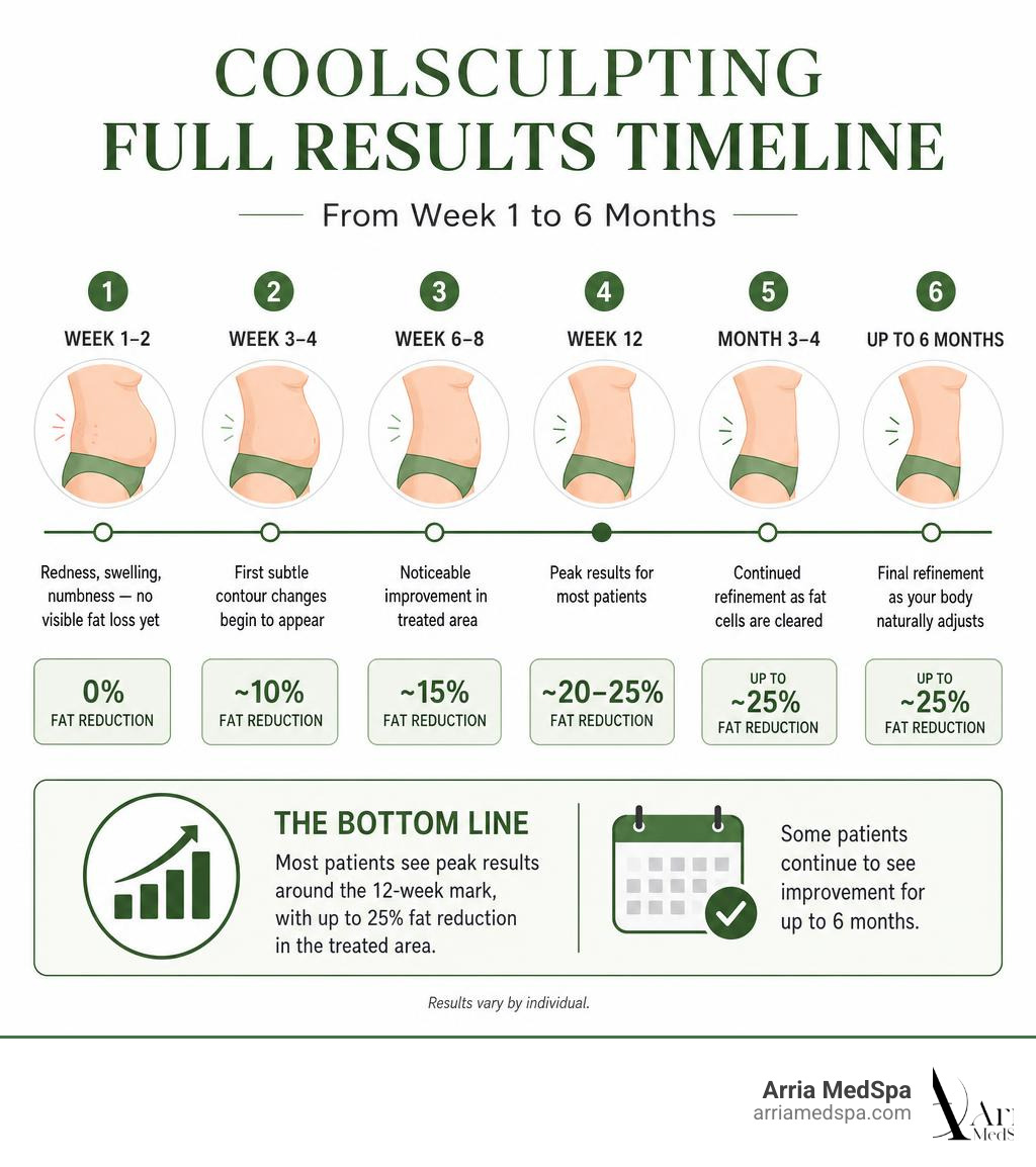 Coolsculpting Full Results Timeline Infographic From Week 1 To 6 Months With Fat Reduction Percentages Infographic