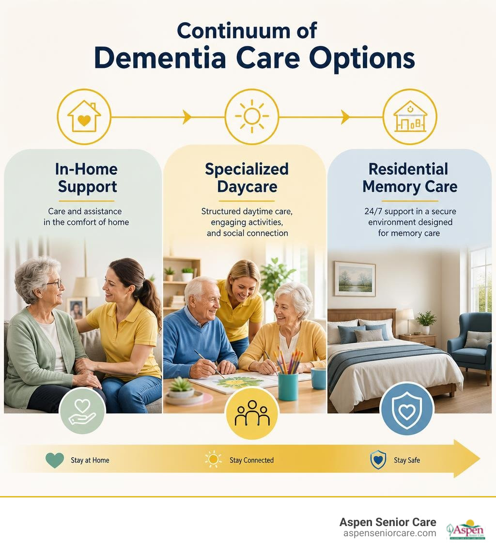 Continuum of dementia care options from in-home support to specialized daycare to residential memory care infographic