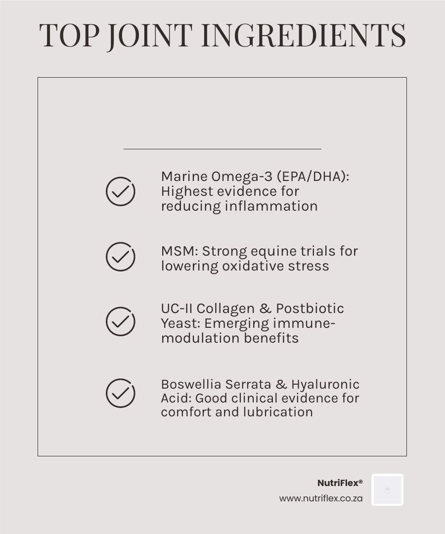 Infographic Showing Top Ingredients For Premium Natural Horse Joint Support And Their Joint Benefits Infographic Infographic Showing Top Ingredients For Premium Natural Horse Joint Support And Their Joint Benefits Infographic