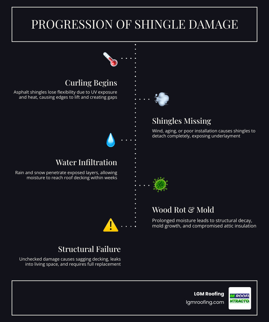 Infographic showing progression of shingle damage from curling to water infiltration to structural rot infographic Infographic showing progression of shingle damage from curling to water infiltration to structural rot infographic