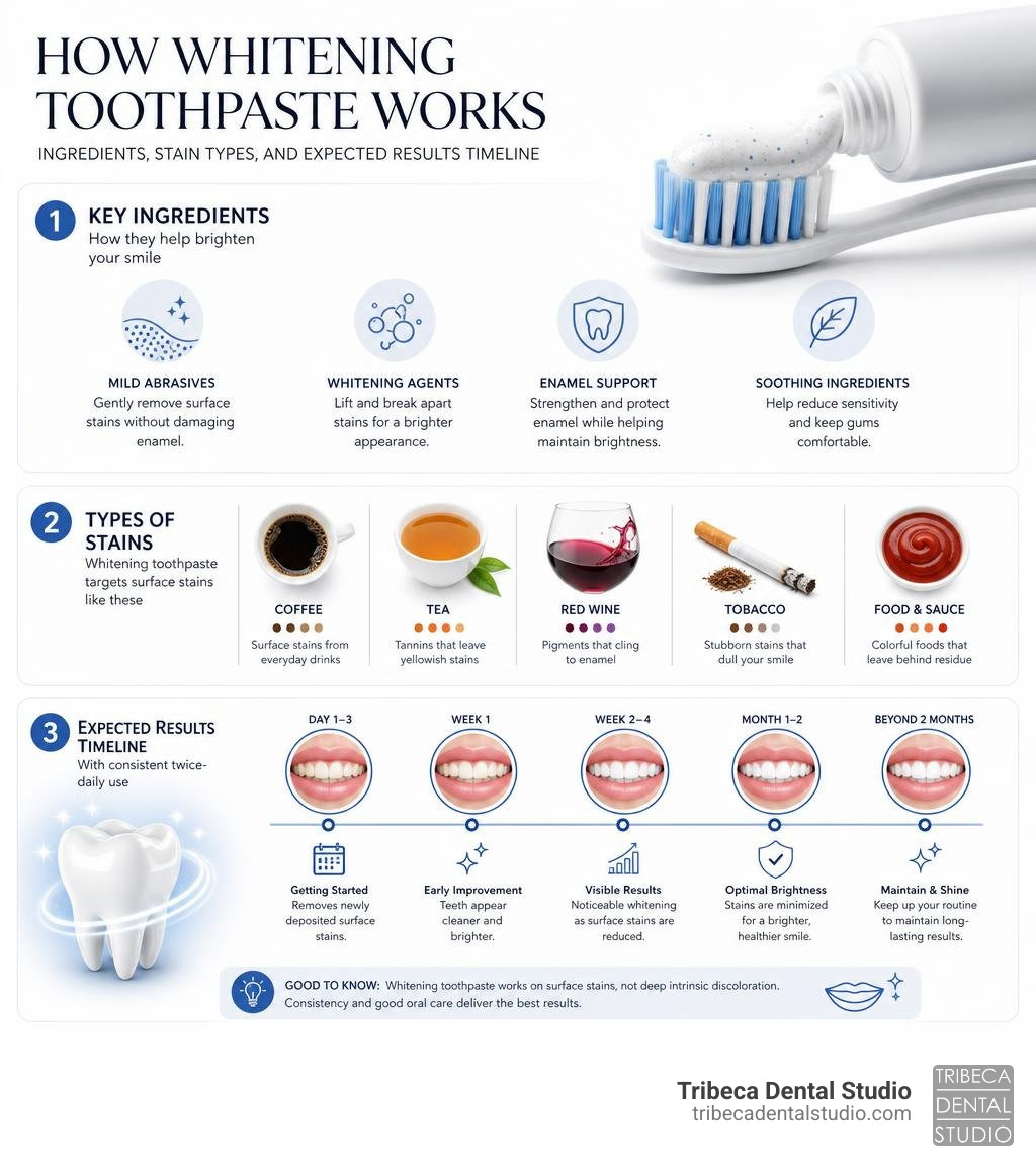How whitening toothpaste works: ingredients, stain types, and expected results timeline infographic How whitening toothpaste works: ingredients, stain types, and expected results timeline infographic