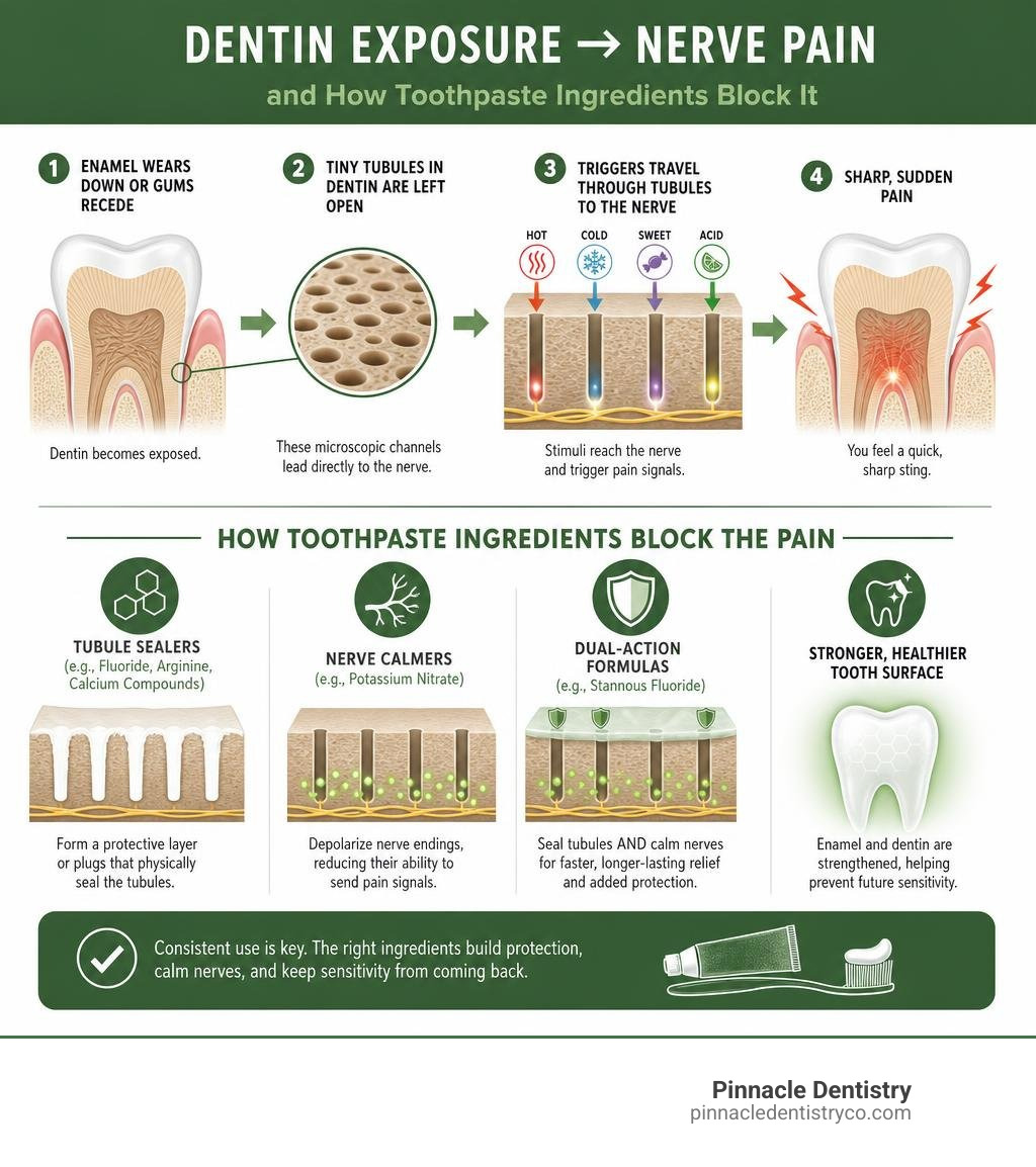 Infographic showing how dentin exposure causes nerve pain and which toothpaste ingredients block it infographic