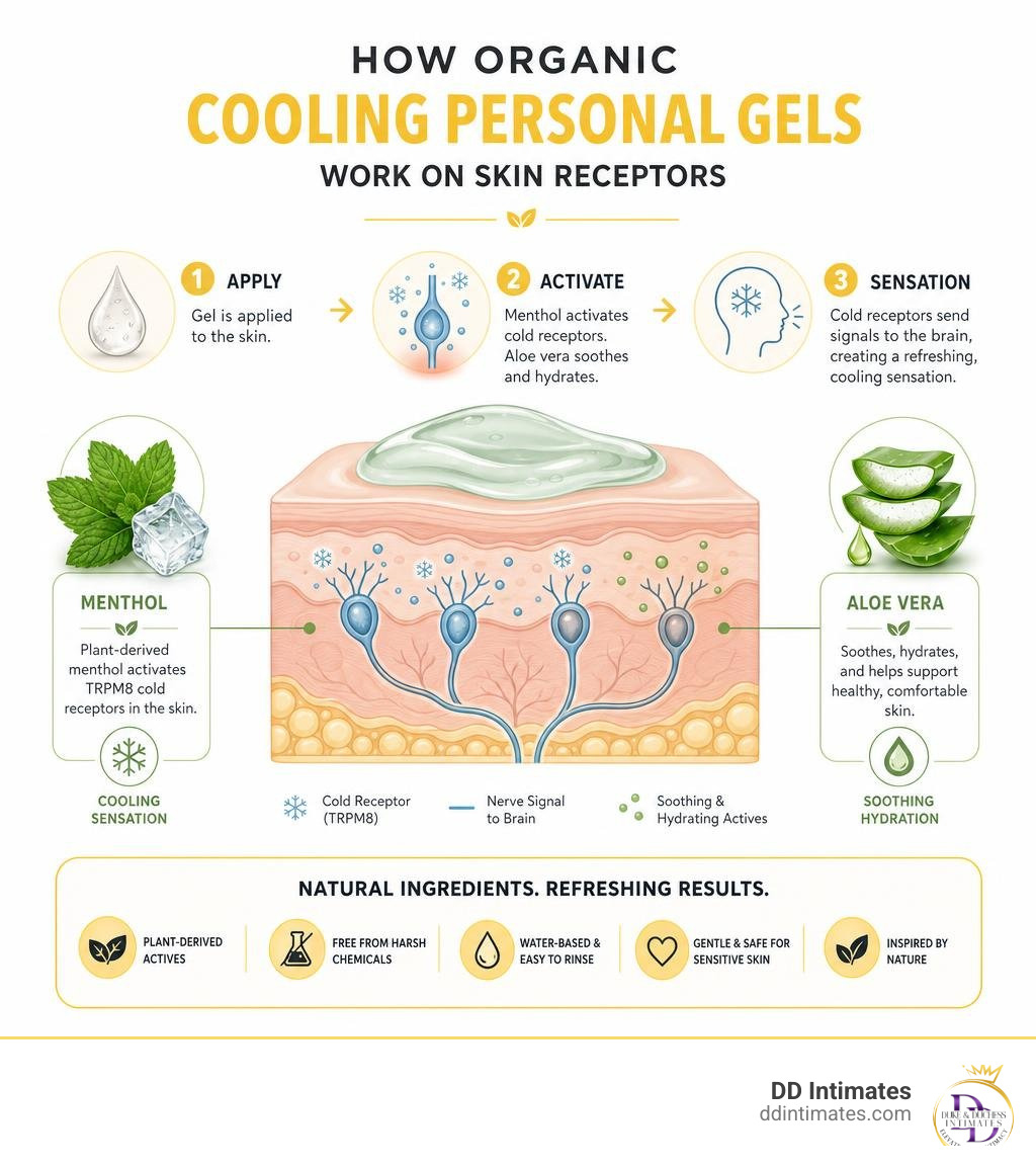 Infographic showing how organic cooling personal gels work on skin receptors using menthol and aloe vera infographic