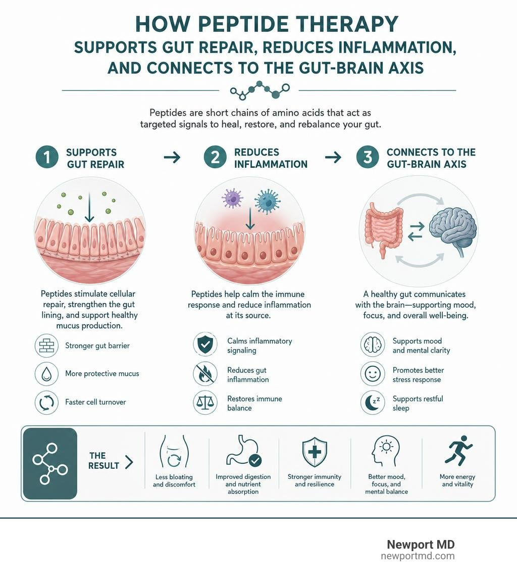 How peptide therapy supports gut repair, reduces inflammation, and connects to the gut-brain axis infographic