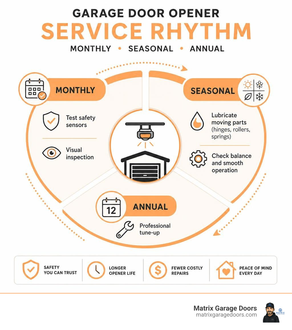 Monthly, seasonal, and annual garage door opener service rhythm infographic infographic