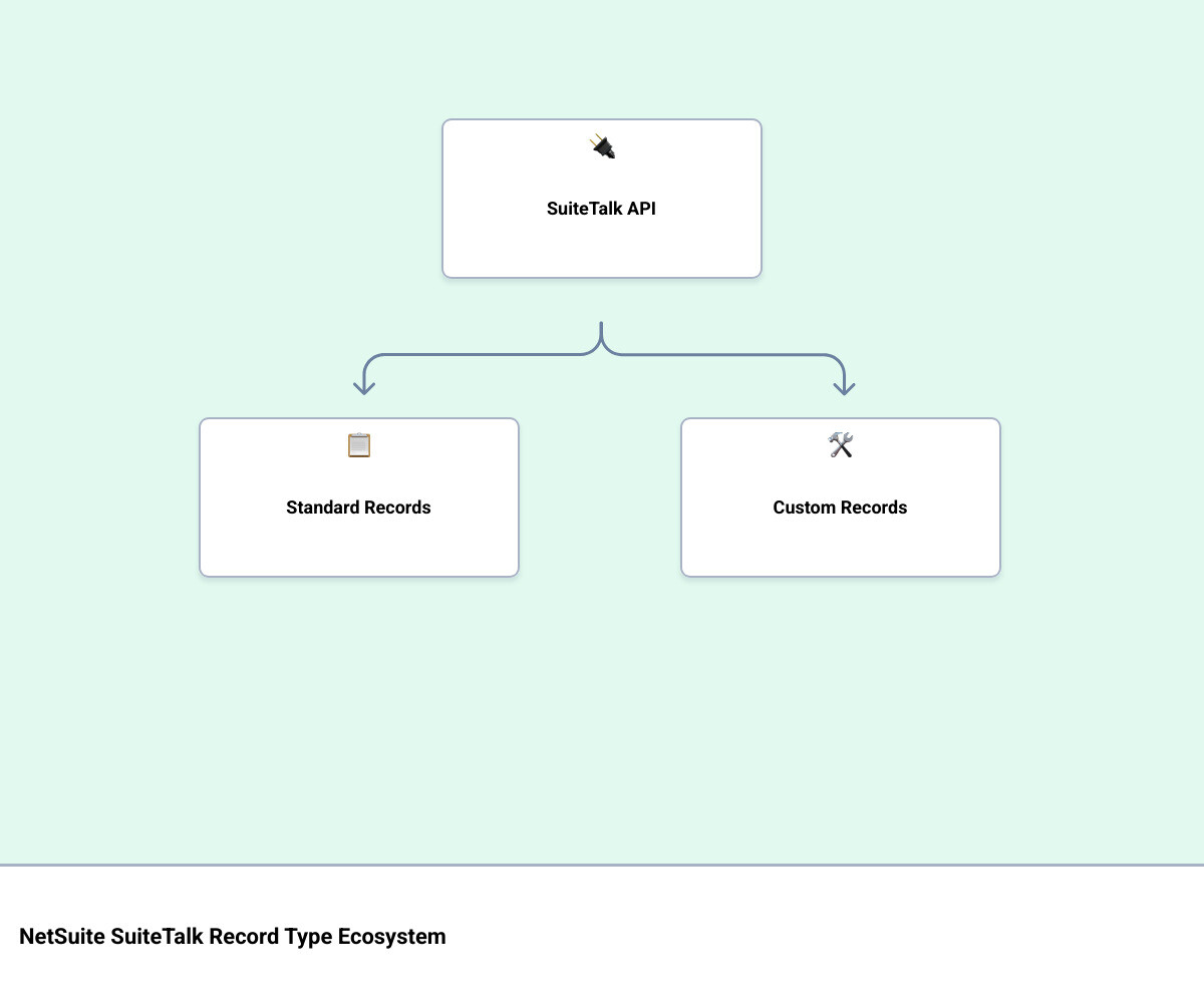 NetSuite SuiteTalk record type ecosystem overview infographic infographic NetSuite SuiteTalk record type ecosystem overview infographic infographic