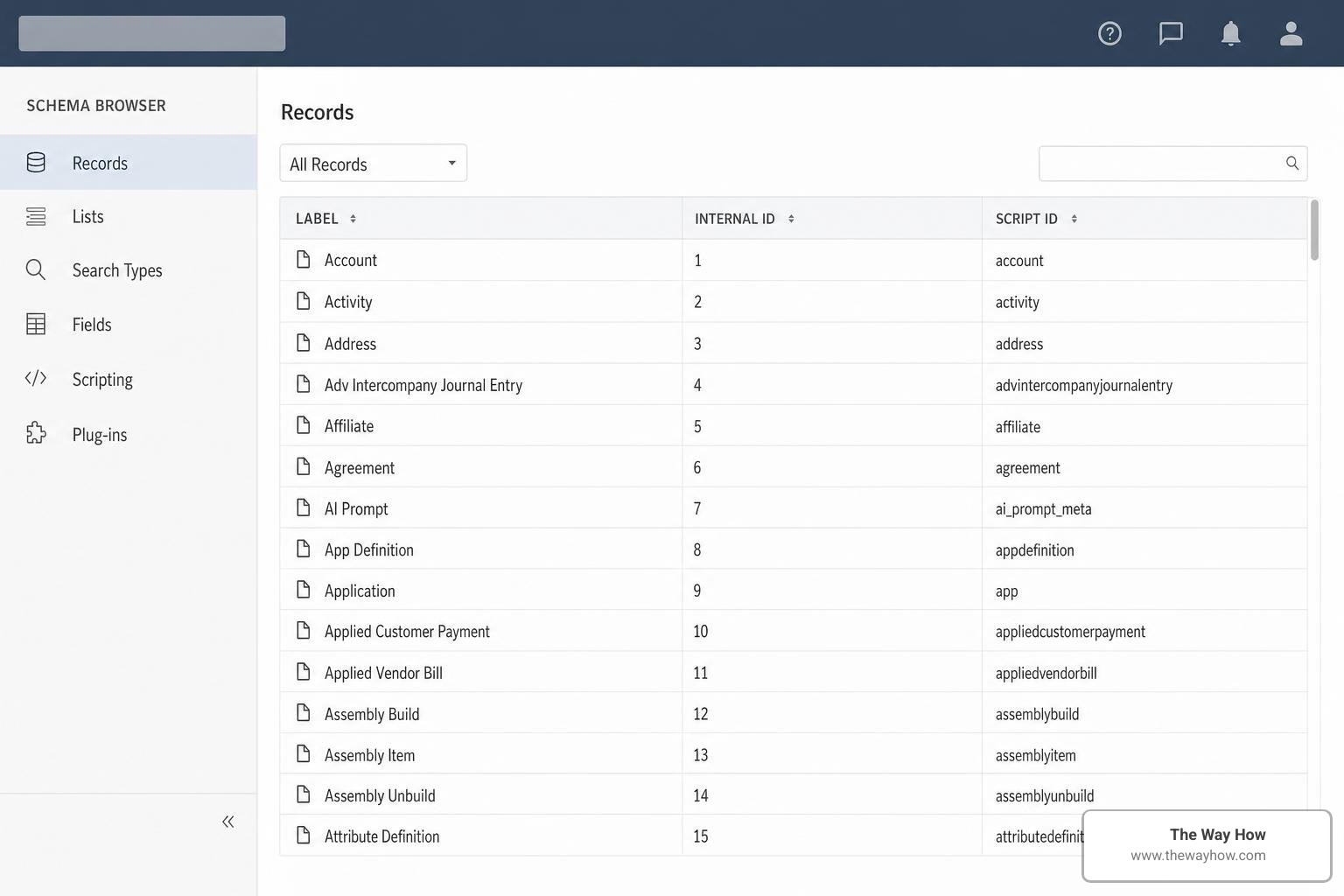 NetSuite Schema Browser interface showing internal ID mapping structures NetSuite Schema Browser interface showing internal ID mapping structures