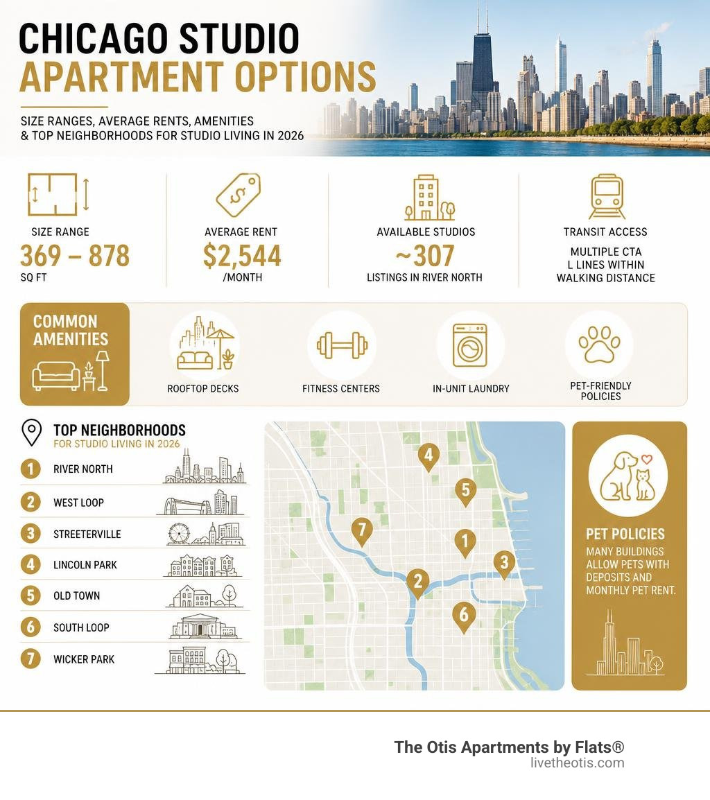 Infographic showing Chicago studio apartment options: size ranges, average rents, amenities, and top neighborhoods for