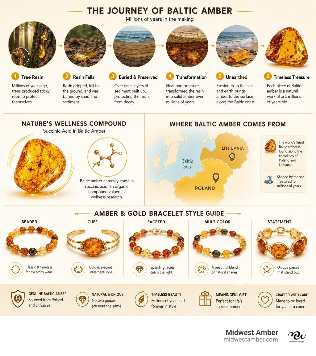 Infographic showing Baltic amber formation process, succinic acid content, key origins, and amber and gold bracelet style