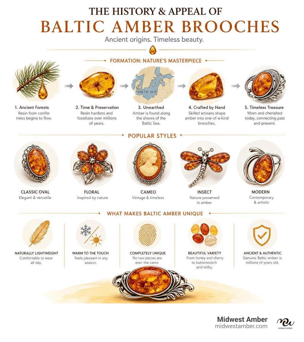 History and appeal of Baltic amber brooches: formation, styles, and what makes them unique infographic History and appeal of Baltic amber brooches: formation, styles, and what makes them unique infographic
