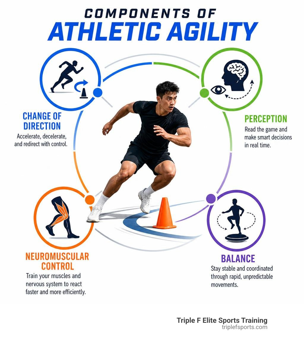 Components of athletic agility including change of direction, perception, neuromuscular control, and balance infographic Components of athletic agility including change of direction, perception, neuromuscular control, and balance infographic