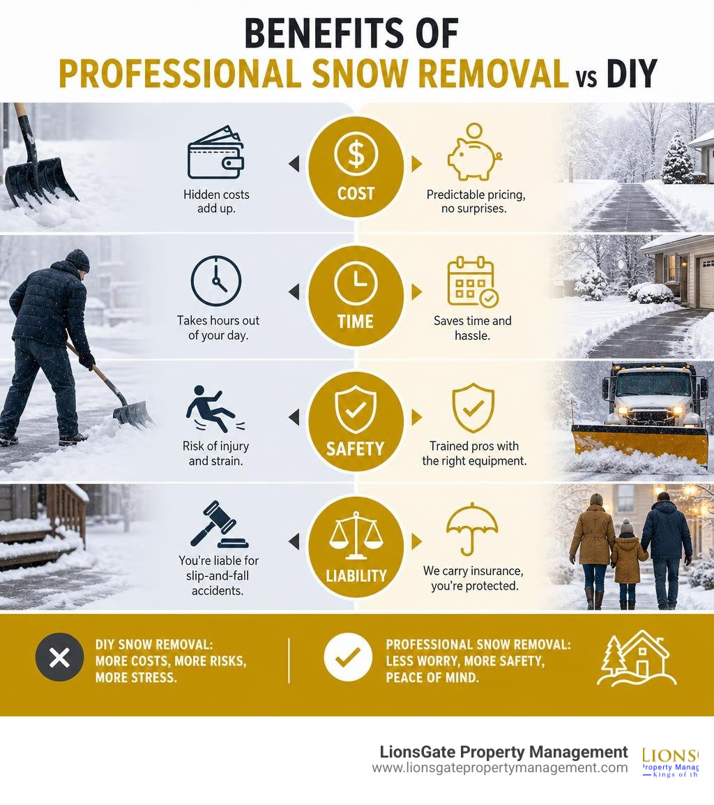Benefits of professional snow removal vs DIY: cost, time, safety, liability infographic Benefits of professional snow removal vs DIY: cost, time, safety, liability infographic