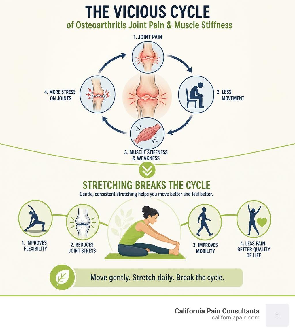 Infographic: the vicious cycle of osteoarthritis joint pain and muscle stiffness, and how stretching breaks it infographic