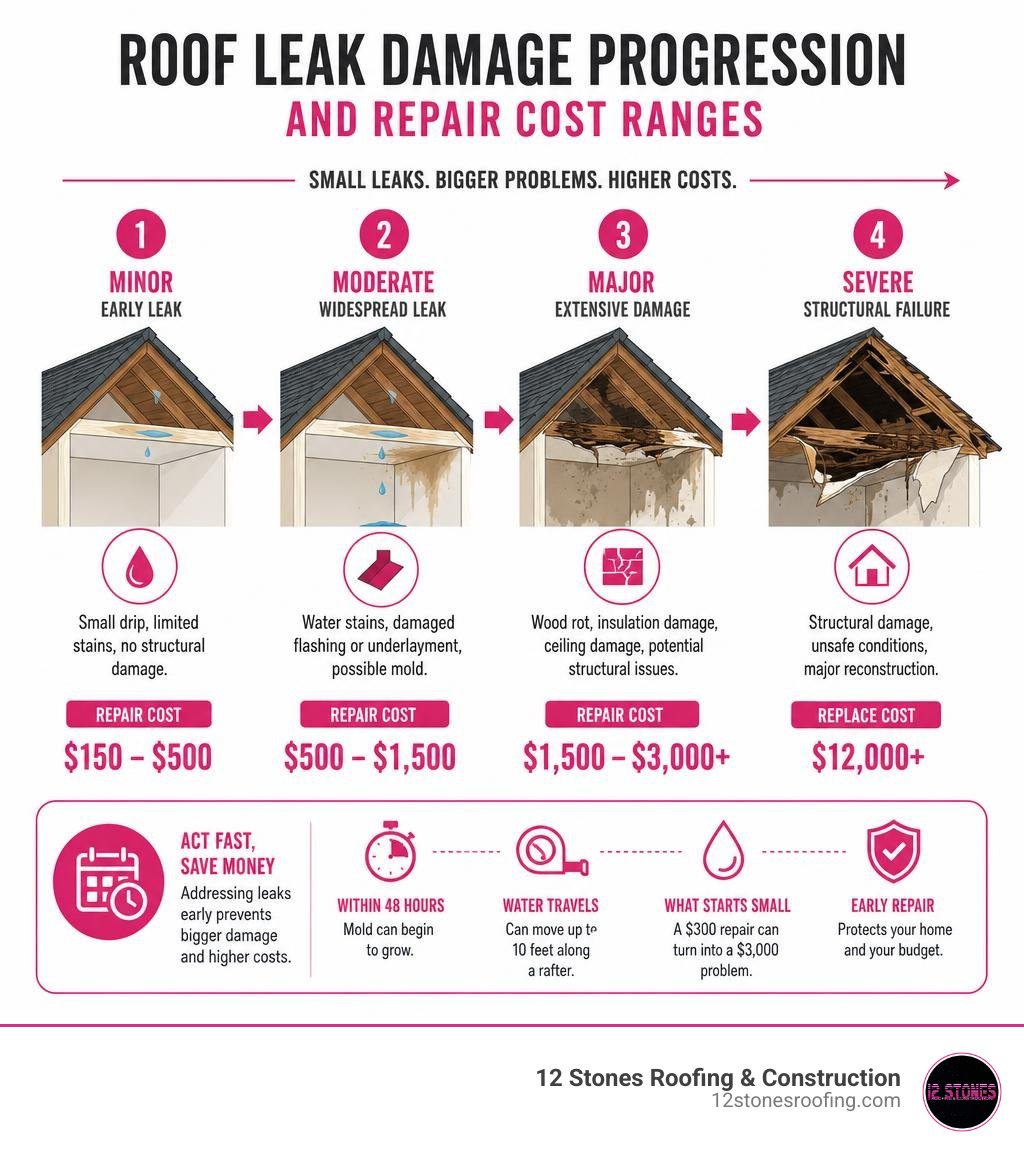 Infographic showing roof leak damage progression and repair cost ranges from minor to major infographic