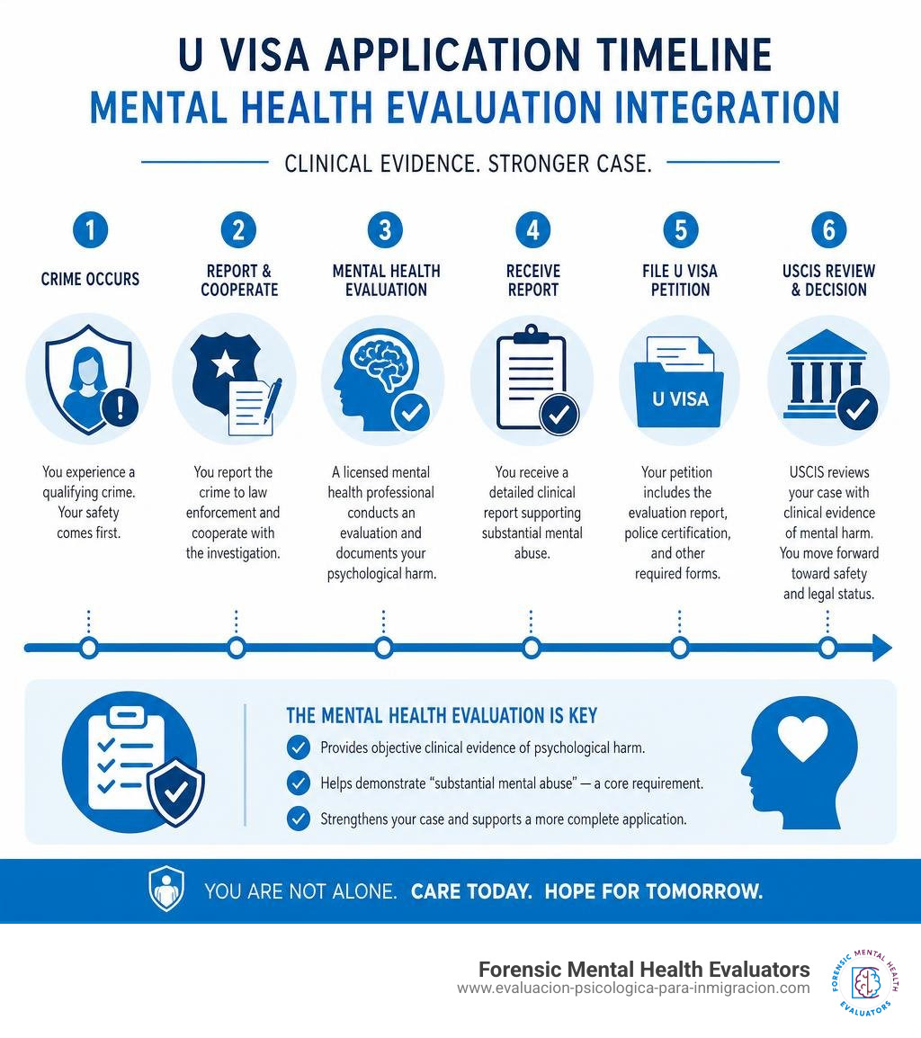 U Visa application timeline showing mental health evaluation integration steps infographic U Visa application timeline showing mental health evaluation integration steps infographic