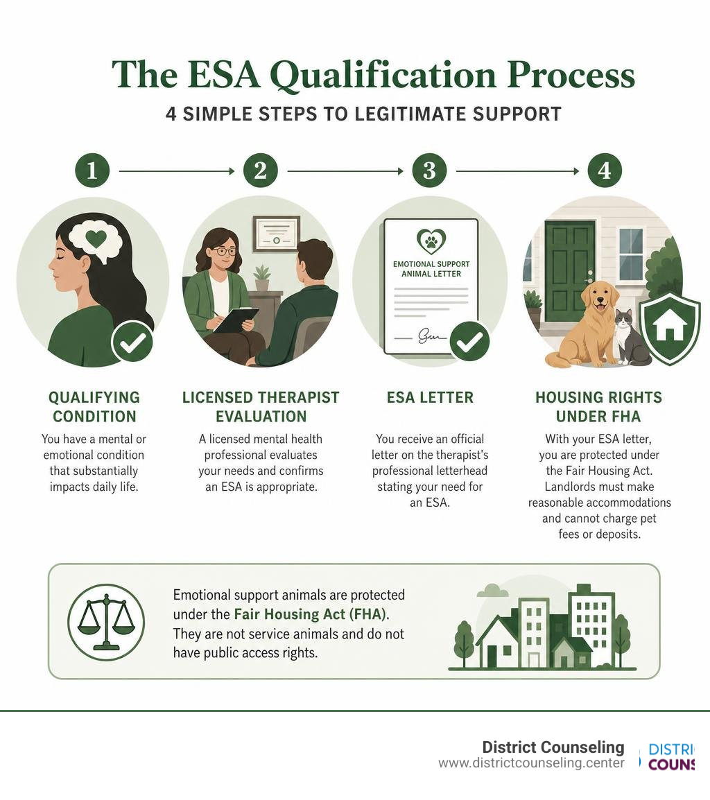 Infographic showing ESA qualification process: qualifying condition, licensed therapist evaluation, ESA letter, housing
