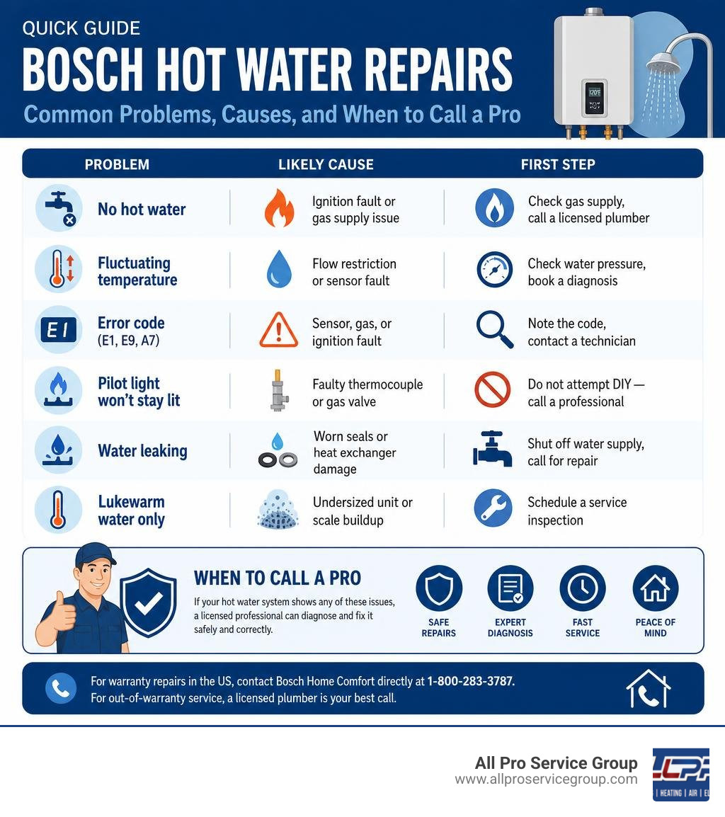 Quick guide infographic: Bosch hot water repairs — common problems, causes, and when to call a pro infographic