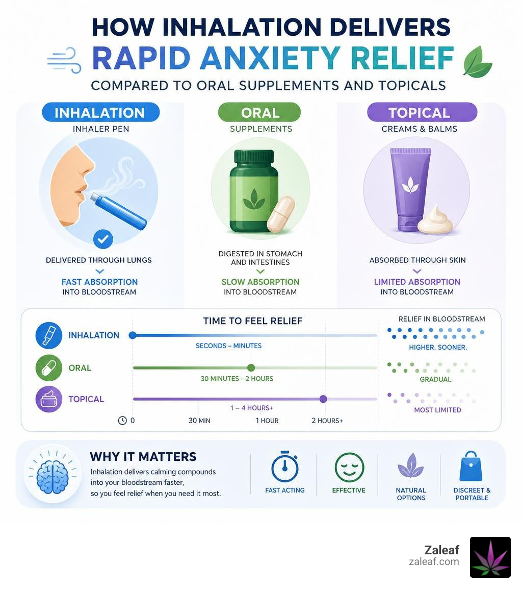 How inhalation delivers rapid anxiety relief compared to oral supplements and topicals infographic How inhalation delivers rapid anxiety relief compared to oral supplements and topicals infographic
