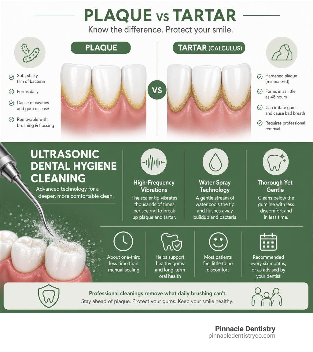 Infographic comparing plaque vs tartar and key facts about ultrasonic dental hygiene cleaning infographic Infographic comparing plaque vs tartar and key facts about ultrasonic dental hygiene cleaning infographic