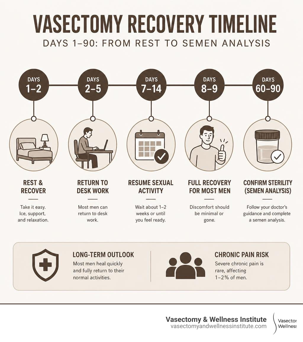Vasectomy recovery timeline infographic showing days 1-90 milestones from rest to semen analysis infographic