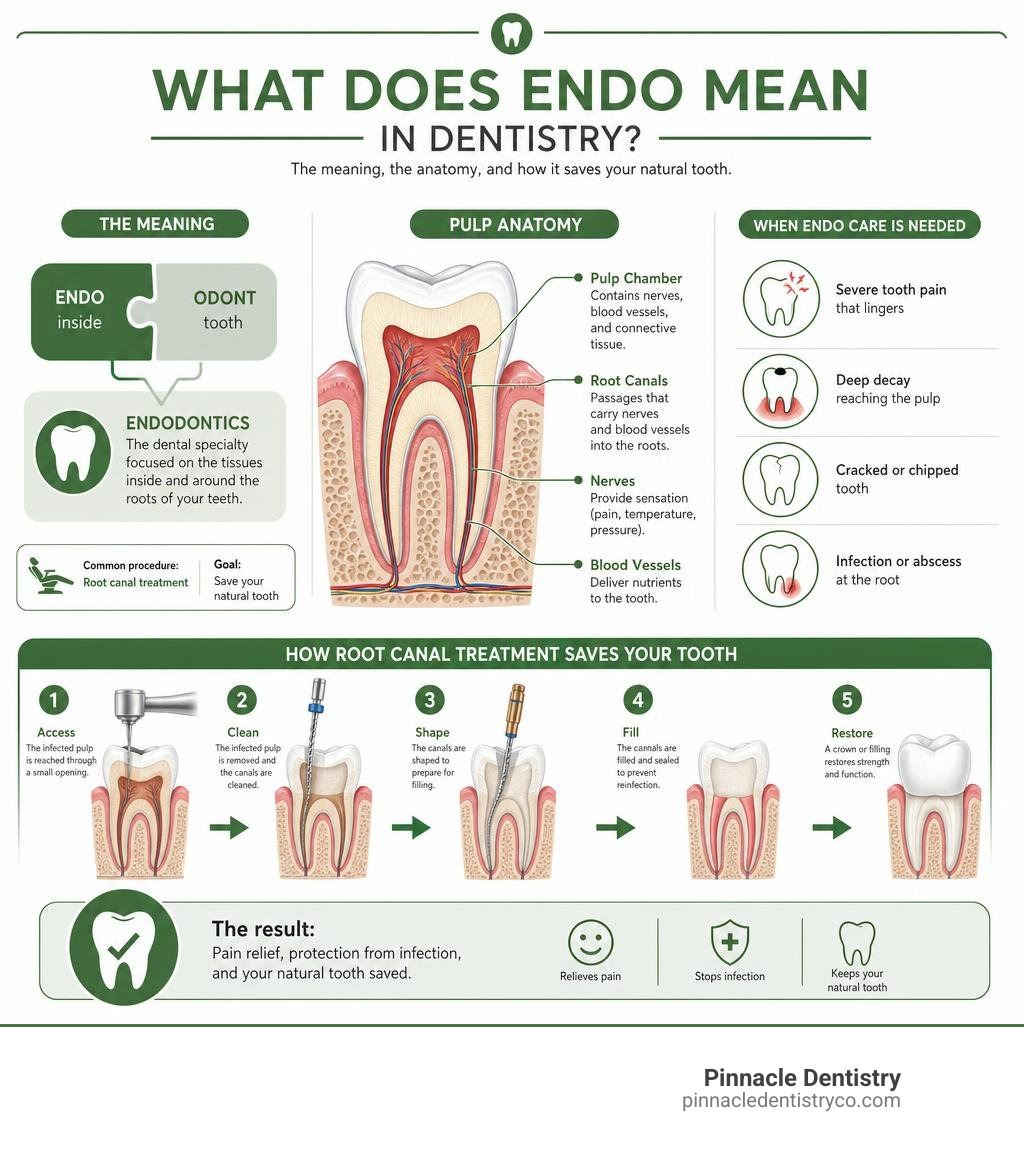 Infographic explaining what endodontics means, Greek origin of endo and odont, pulp anatomy, and how root canal treatment