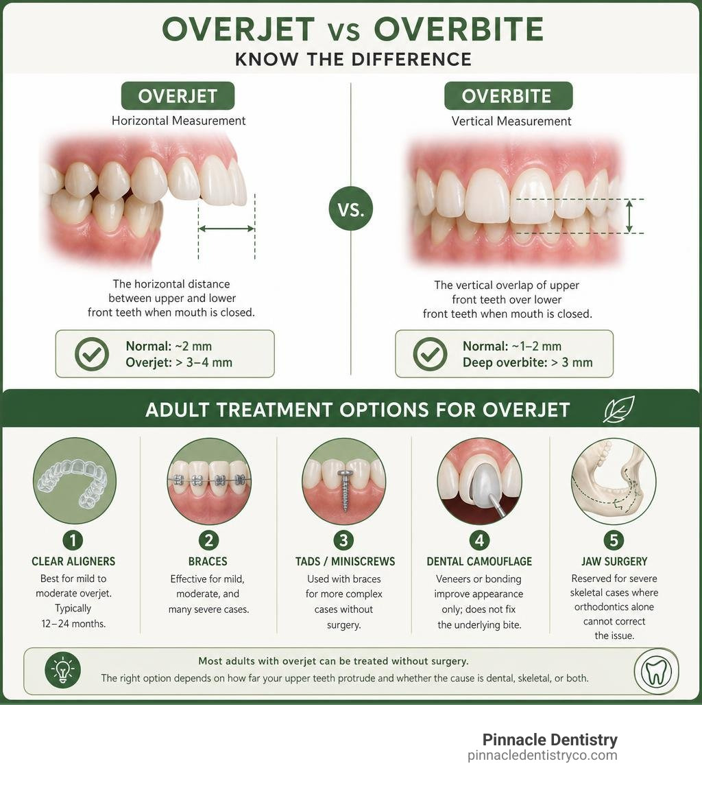Infographic comparing overjet vs overbite measurements and adult treatment options infographic