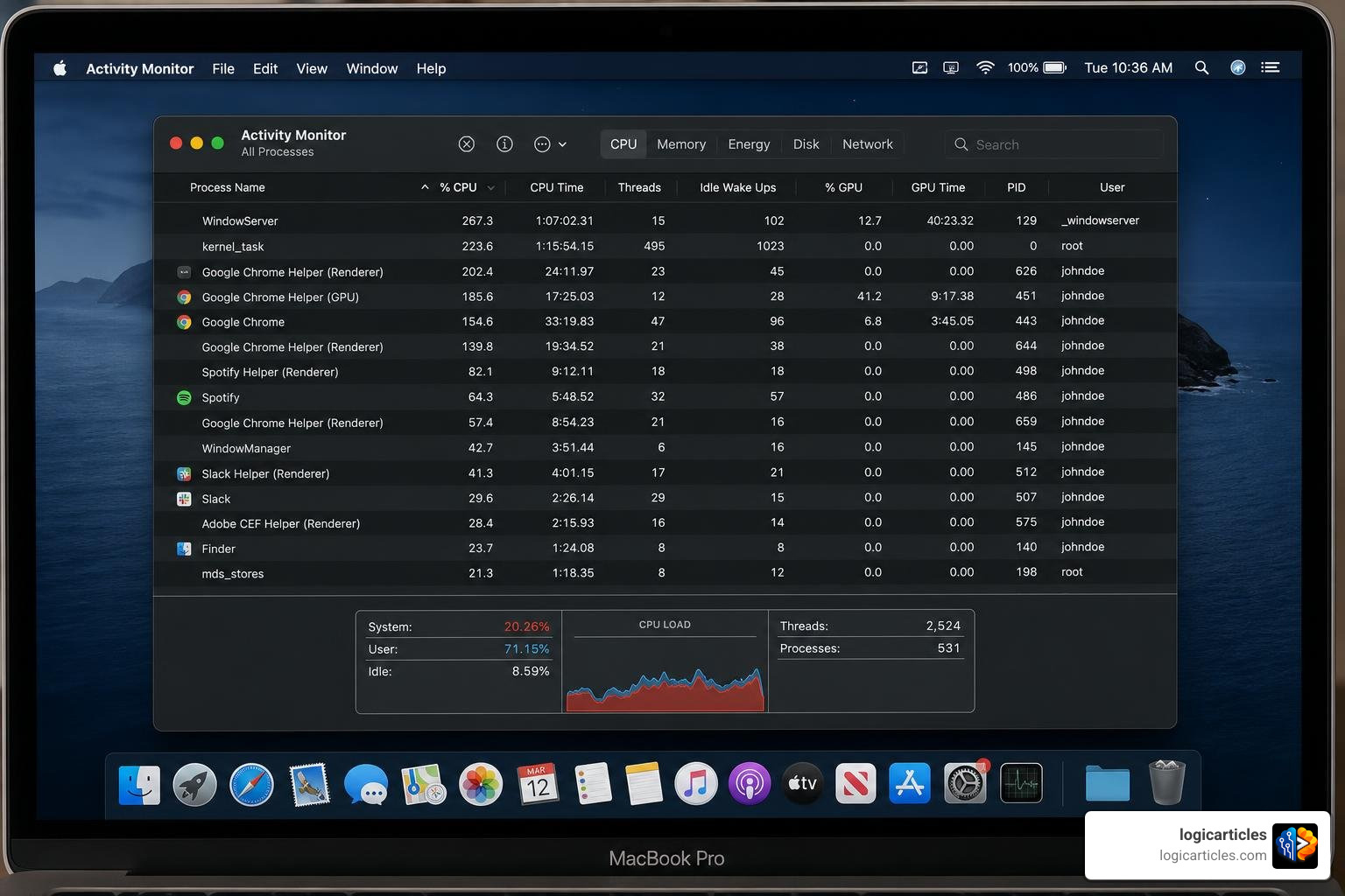 macOS Activity Monitor showing high CPU usage