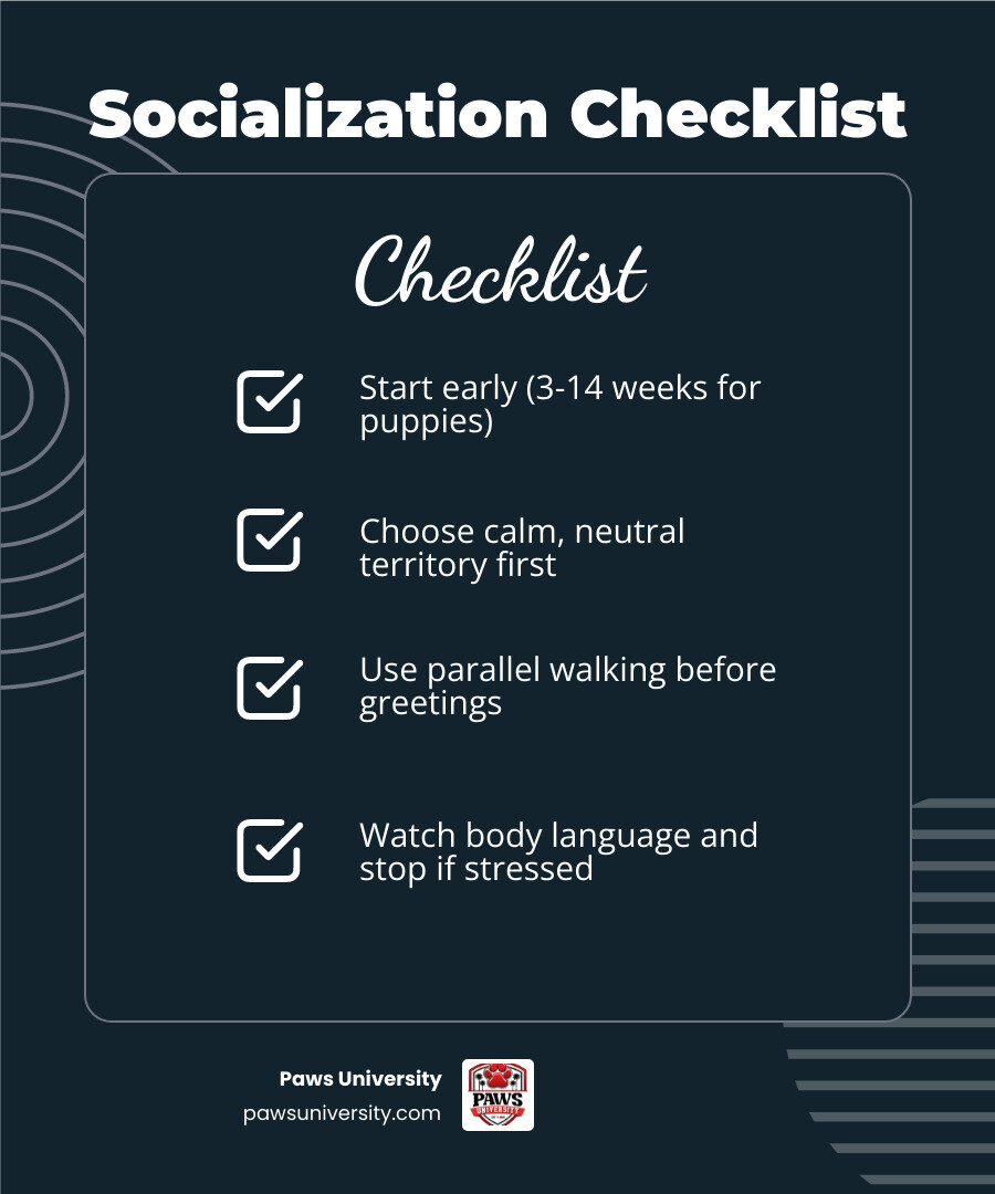 Key stages of canine socialization timeline from puppy to senior dog infographic Key stages of canine socialization timeline from puppy to senior dog infographic