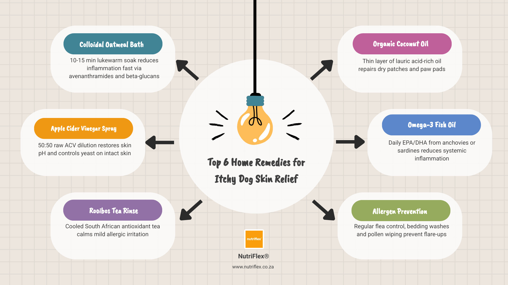 Infographic Showing The Canine Itch-Scratch Cycle And Top 5 Home Remedies For Itchy Dog Skin Relief Infographic Infographic Showing The Canine Itch-Scratch Cycle And Top 5 Home Remedies For Itchy Dog Skin Relief Infographic