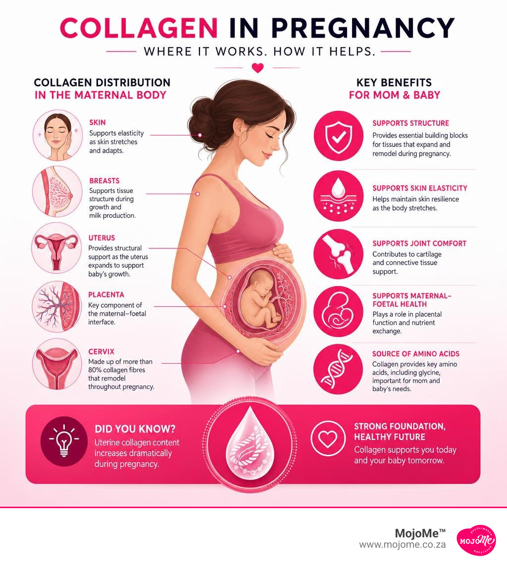 Infographic showing collagen distribution in the maternal body during pregnancy and key benefits infographic Infographic showing collagen distribution in the maternal body during pregnancy and key benefits infographic