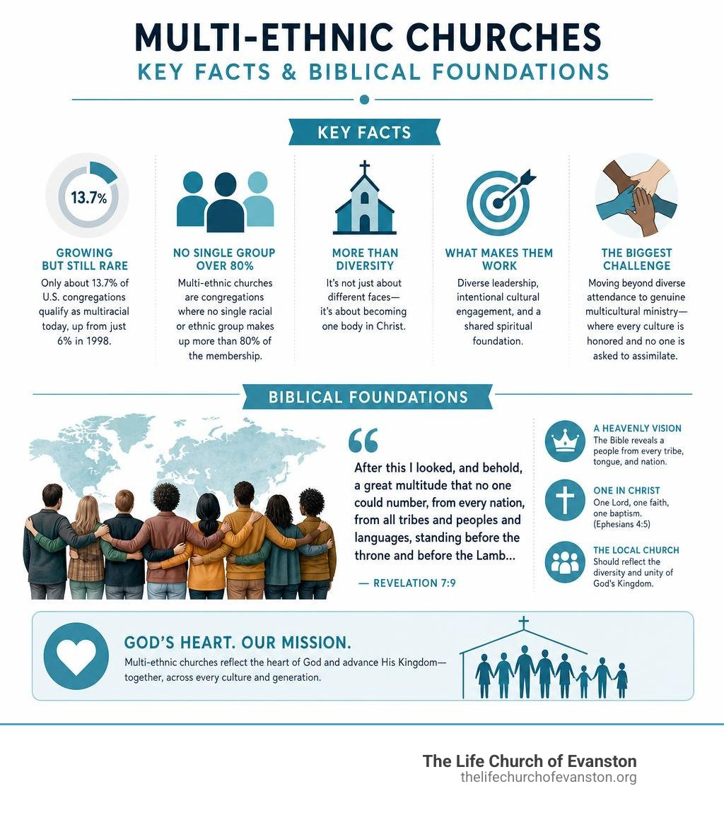 Key facts and biblical foundations for multi-ethnic churches explained as an infographic infographic