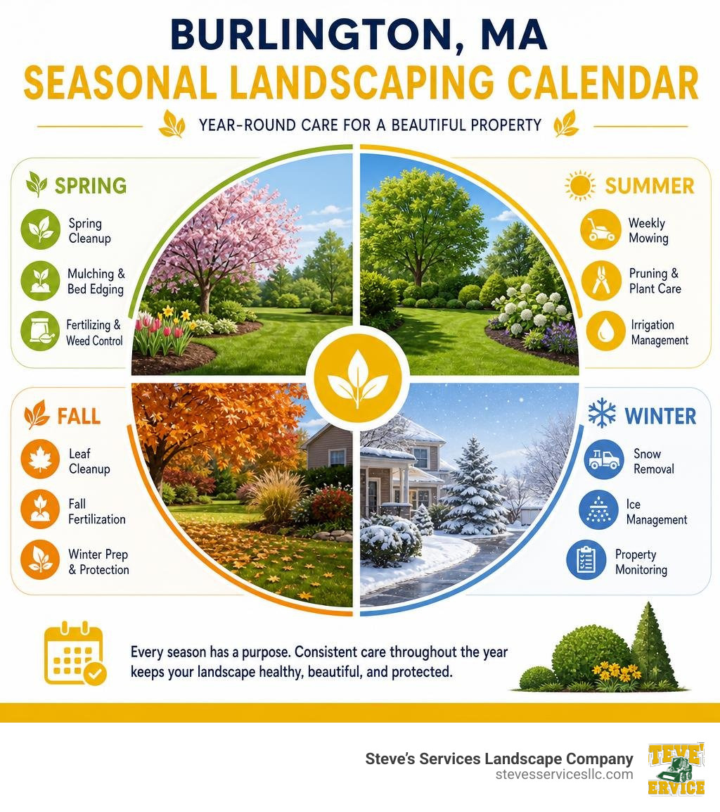 Burlington MA seasonal landscaping calendar infographic