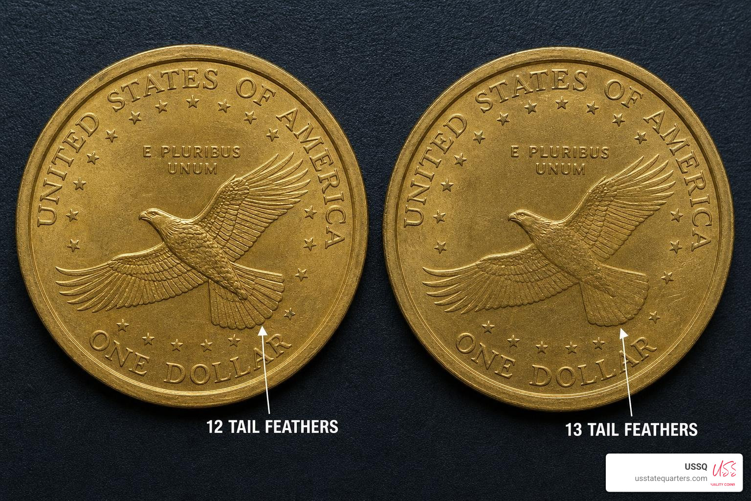 Detailed 12 tail feathers of the Cheerios Dollar compared with the smooth 13 tail feathers of a regular Sacagawea Dollar Detailed 12 tail feathers of the Cheerios Dollar compared with the smooth 13 tail feathers of a regular Sacagawea Dollar