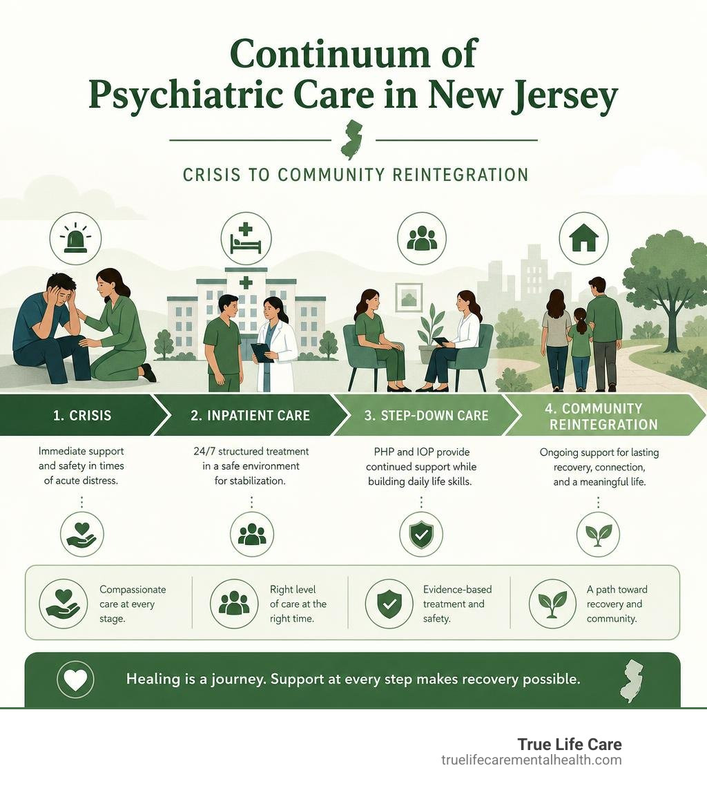 Continuum of psychiatric care in New Jersey: crisis to community reintegration infographic infographic