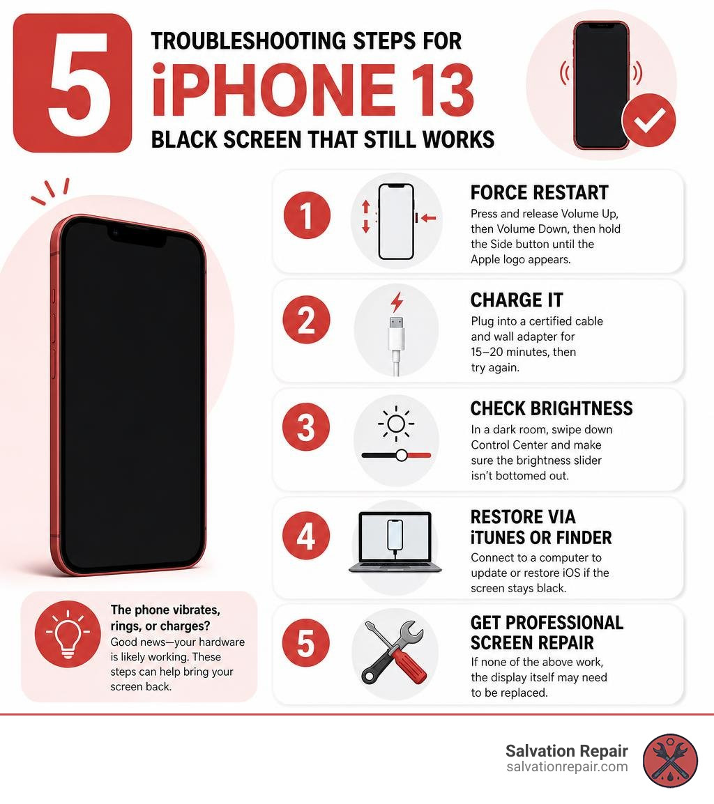 Infographic showing 5 troubleshooting steps for iPhone 13 black screen that still works infographic Infographic showing 5 troubleshooting steps for iPhone 13 black screen that still works infographic