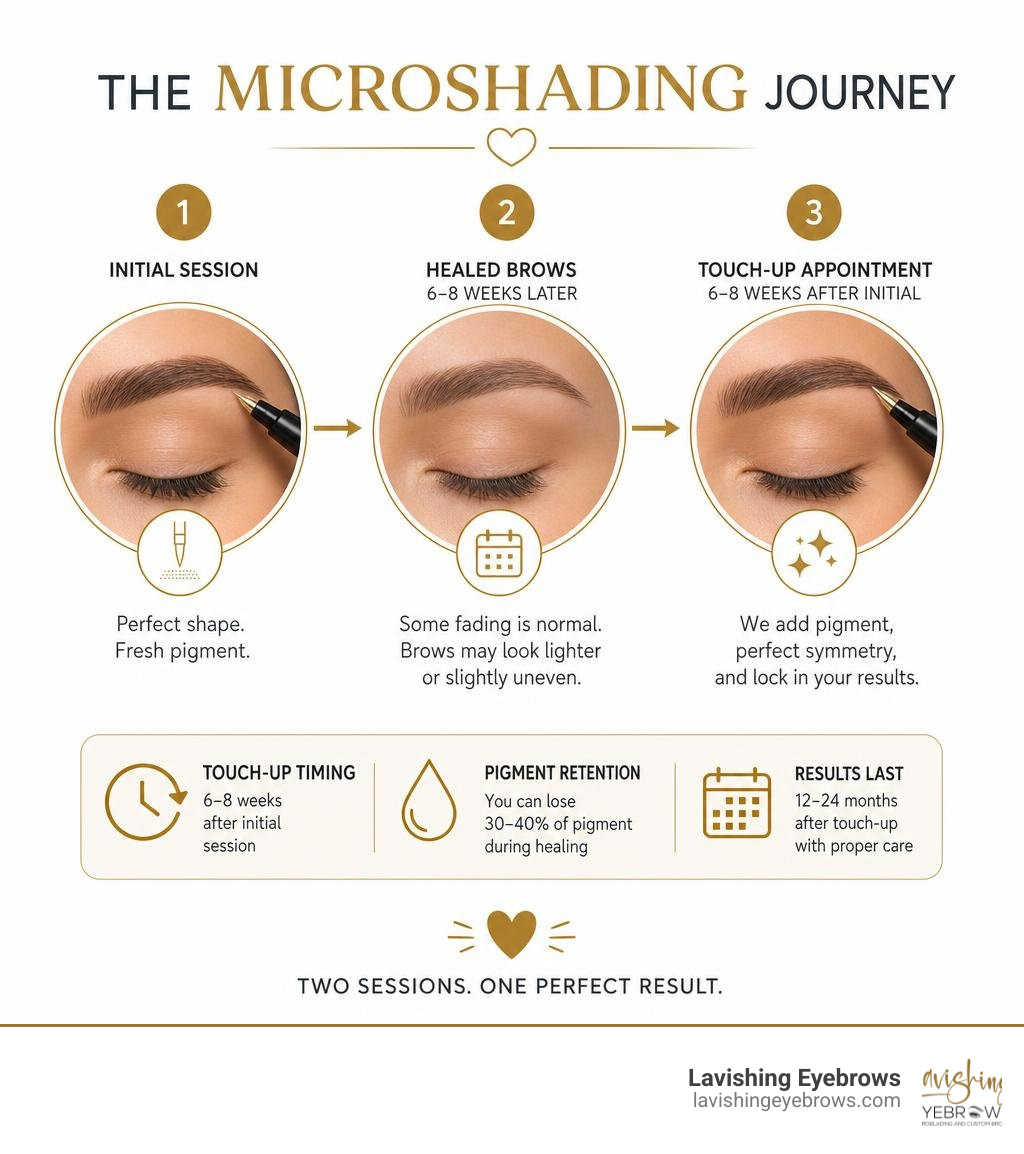 Microshading journey infographic: initial session to healed brows to touch-up appointment infographic Microshading journey infographic: initial session to healed brows to touch-up appointment infographic